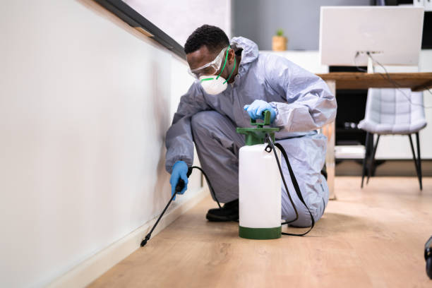 Best Residential Pest Control  in Belen, NM